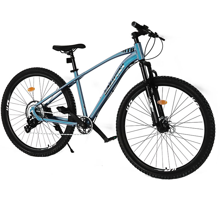 Mountain Biking Usa - Bicicletta Mountain Bike 26/29 Pollici 21