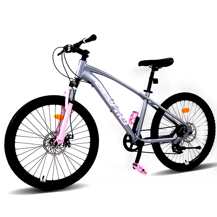 Biciclette da Montagna Nuove d - Mountain Biking Usa recensione e prezzo