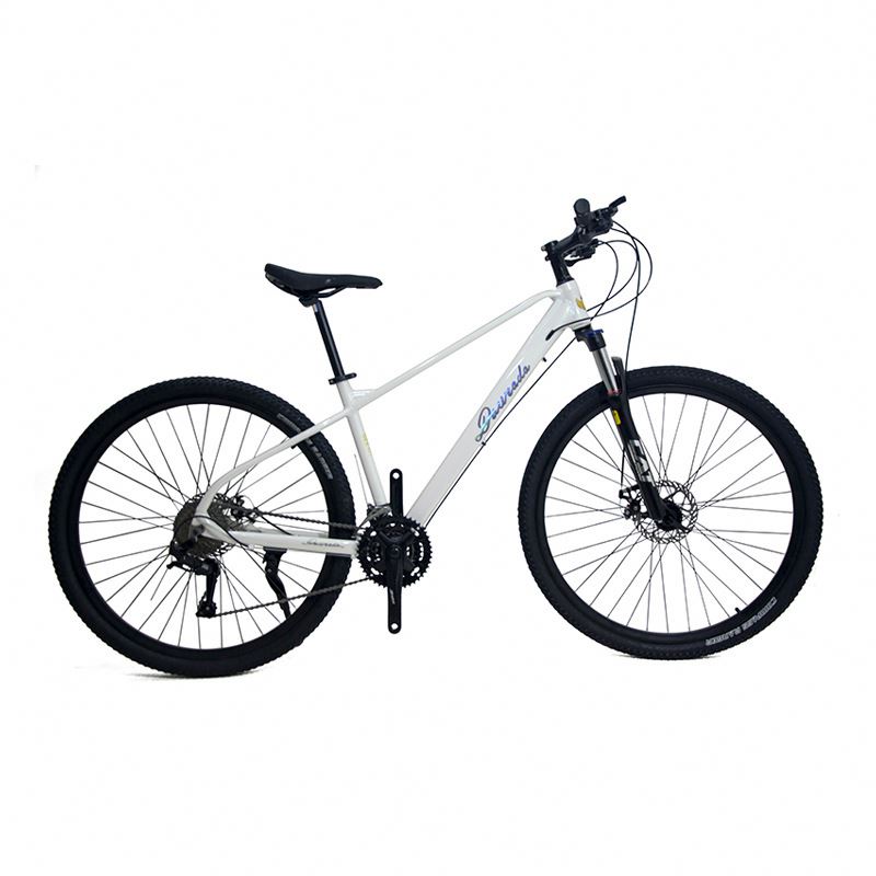 Mountain bike in lega di allum - Mountain Biking Usa recensione e prezzo