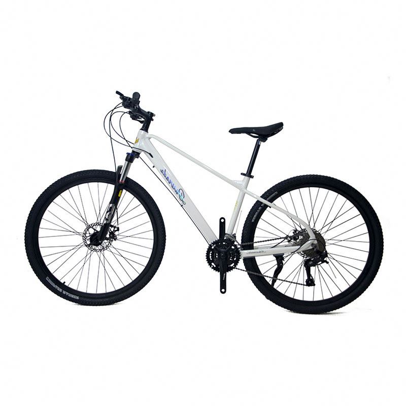 Mountain bike in lega di allum - Mountain Biking Usa recensione e prezzo