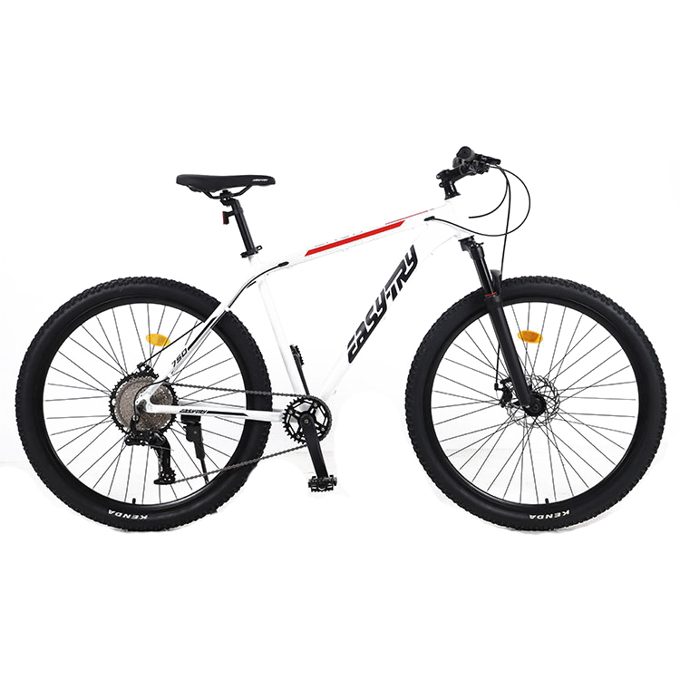 Bicicletta Mountain Bike 29 Po - Mountain Biking Usa recensione e prezzo