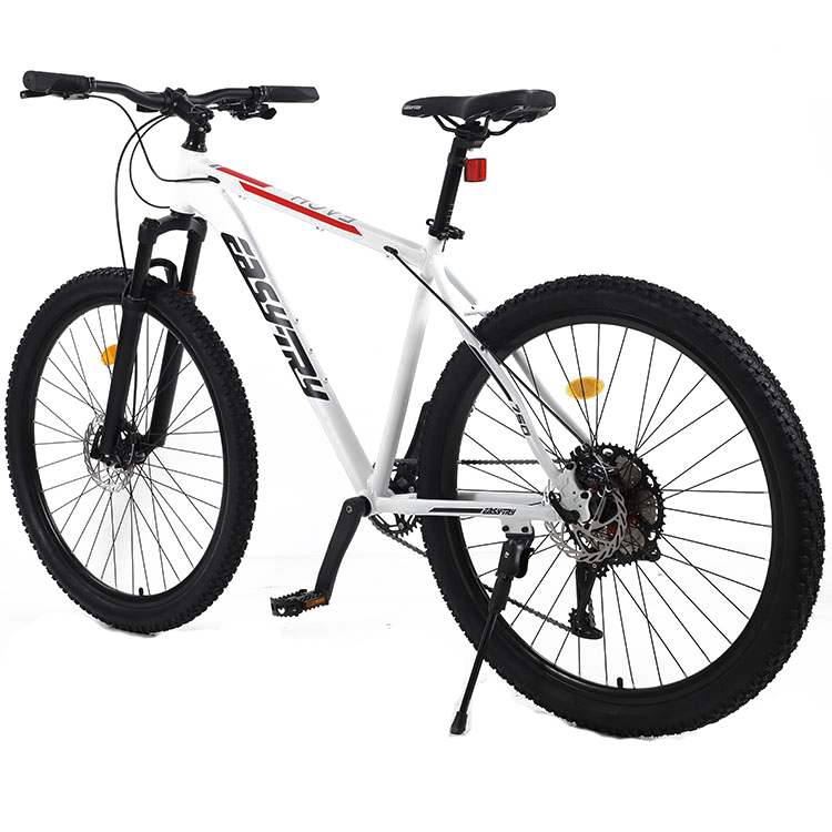 Bicicletta Mountain Bike 29 Po - Mountain Biking Usa recensione e prezzo
