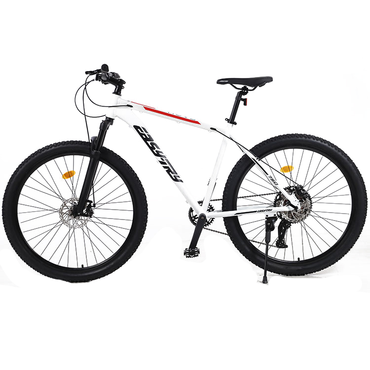 Bicicletta Mountain Bike 29 Po - Mountain Biking Usa recensione e prezzo