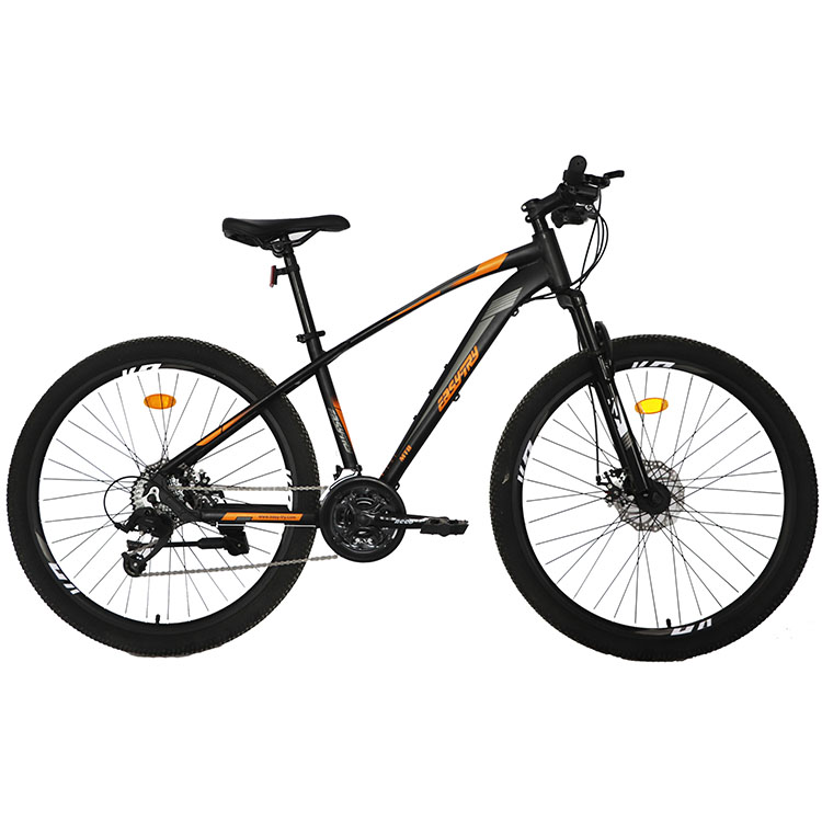Bicicletta Mountain Bike 26/29 - Mountain Biking Usa recensione e prezzo