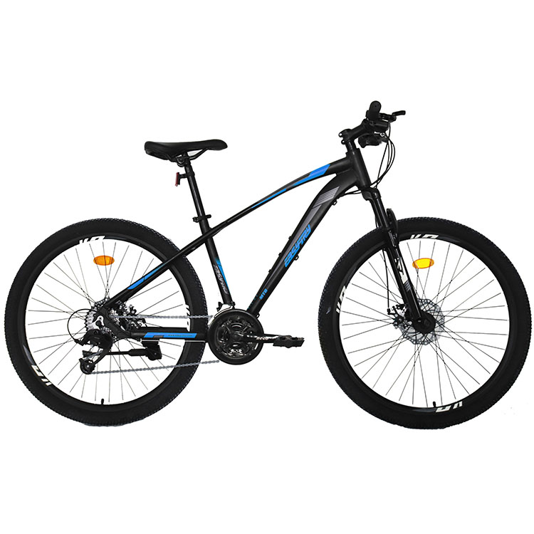 Bicicletta Mountain Bike 26/29 - Mountain Biking Usa recensione e prezzo