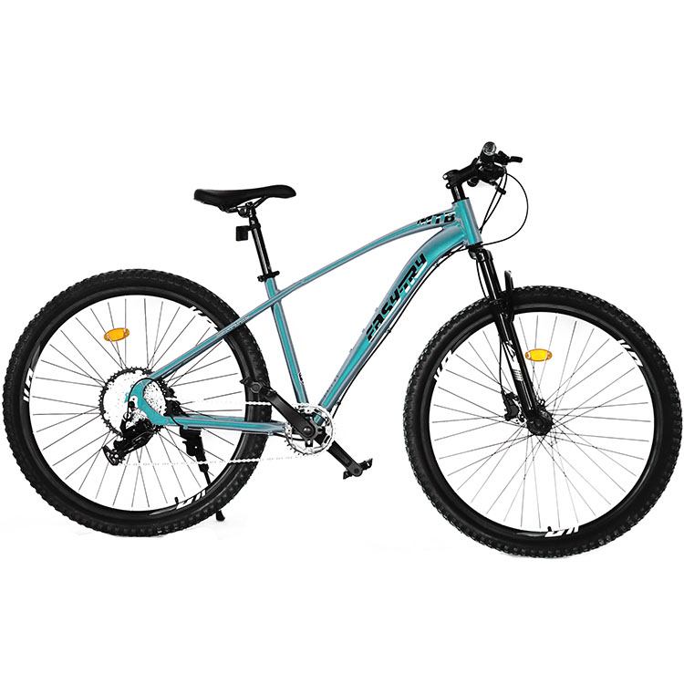 Bicicletta Mountain Bike 26/29 - Mountain Biking Usa recensione e prezzo