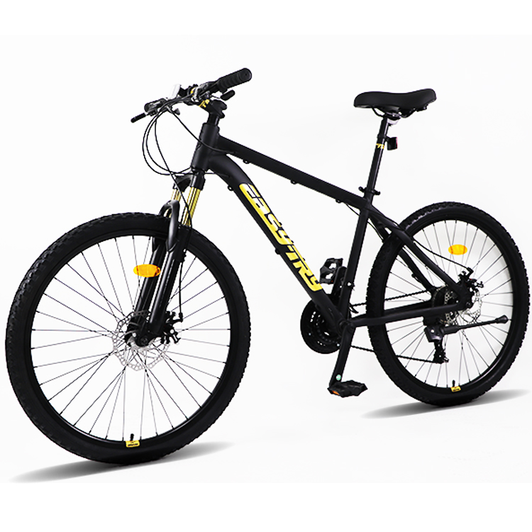Consegna Rapida Bicicletta MTB - Mountain Biking Usa recensione e prezzo